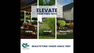 Elevate Your Yard with Landscape Design from Blue Tree Landscaping [upl. by Sokim]