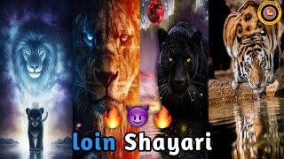 शेर की शायरी  best shayari in 2023😈lion shayari🦁attitude status🥶 shero wali shayari🔥🦁 [upl. by Yadnus609]