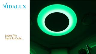 Quick Look At The Chromotherapy Light Within You Vidalux Shower [upl. by Marcelo233]