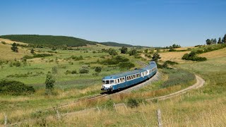 🇫🇷 Des Bleus dAuvergne en balade sur le Translozérien [upl. by Shere137]