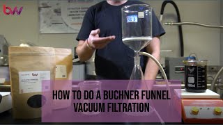 How To Do Buchner Funnel Vacuum Filtration [upl. by Namdor586]