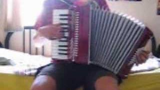 Zelda theme on accordion [upl. by Nicholson502]