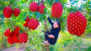 How to harvest Red Pandanus amp Goes to the Market sell  Harvesting and Cooking  Daily Life [upl. by Schnapp155]