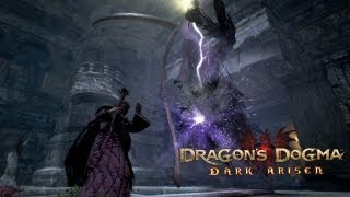 Dragons Dogma Dark Arisen  Enemy Showcase [upl. by Loralie]