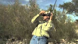 Bobber n Jig Steelhead Fishing on the Clearwater River [upl. by Piderit914]