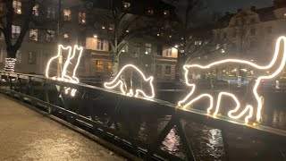 Sweden Walks Uppsala Relaxing city walk along the river and calm streets with festive lights [upl. by Ahtoelc480]