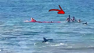 These 3 Swimmers Were Eaten Alive By Sharks [upl. by Frederica]