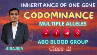 Codominance Class 12ABO Blood groupMultiple allelesInheritance of one geneSciFlix345 [upl. by Akinhoj]