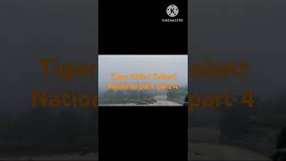 Tiger Safari  part 4 Corbett National park shorts ytshorts viralvideo destinationunknown1356 [upl. by Nalac]