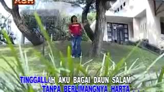 Caca handika daun salam karaoke [upl. by Asecnarf]