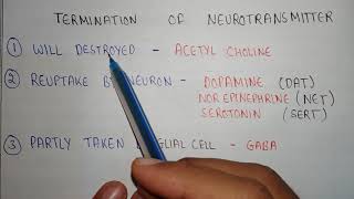 Neurotransmitters post junctional activity  termination of neurotransmitter pharmacology [upl. by Aidyn711]