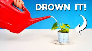 10 Things Youre Getting Wrong About Watering Plants [upl. by Bolton]