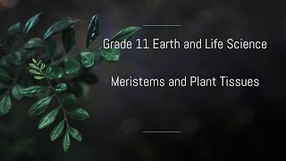 Meristems and Plant Tissues [upl. by Aiam]