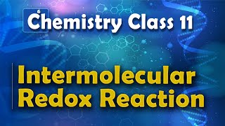 Intermolecular Redox Reaction  Redox Reaction  Chemistry Class 11 [upl. by Redyr]