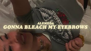 gonna bleach my eyebrows lyrics alemeda [upl. by Aitak]