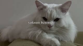 Yoksun Başımda by Reynmen slowed  rain [upl. by Shepard]