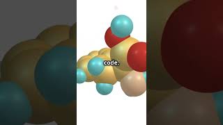 RIBOSOMES rpsc science biology [upl. by Sara]