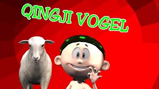 QINGJI VOGEL  Kenge per femije Shqip  Little Lamb song for children  Macoku TV [upl. by Rostand96]