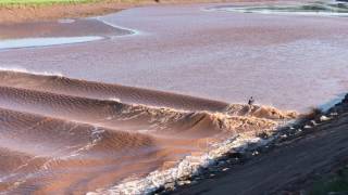 Tidal Bore Moncton NB [upl. by Calida]