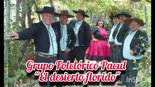 Grupo Folclórico Pacul  quotEl desierto floridoquot Vallenar [upl. by Eojyllib822]