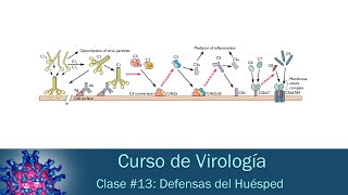 Clase 13  Defensas del hospedero [upl. by Marra]