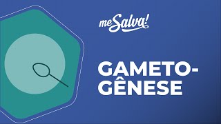 Gametogênese  Embriologia  Me Salva Saúde [upl. by Brindle]