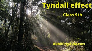 tyndall effect class 9th [upl. by Antonie760]