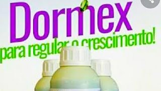 Não use Dormex antes de ver isso [upl. by Sollars48]