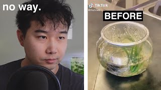 BEFORE and AFTER Betta Fish Tank  Fish Tank Review 242 [upl. by Namaan37]