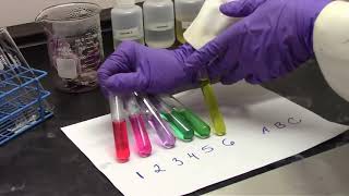 Extraction Acid Base Reactions and Buffer Solutions Red Cabbage Experiment [upl. by Madelene]