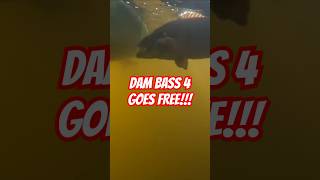 DAM Bass Goes Free 4 [upl. by Zara731]