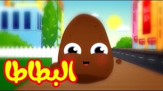 البطاطا  طيور بيبي Toyor Baby [upl. by Sucirdor]