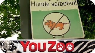 Die Hundepolizei │YouZoo [upl. by Grider]