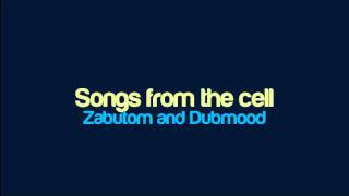 Zabutom and Dubmood  Songs from the cell [upl. by Lehcar]