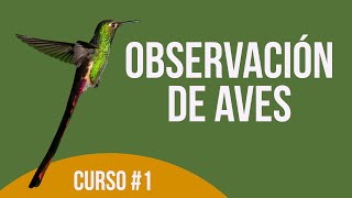 ¿Cómo observar Aves🐦🦉👓 Curso de Observación de aves Cap 1 [upl. by Arakal]