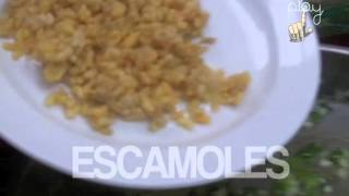 Gastronomía Receta Escamoles a la mantequilla [upl. by Marba581]