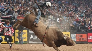 Bulls That Have WRECKED The Most Riders Top 3 Buckoff Streaks Right Now  2019 [upl. by Dlawso]