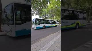 Hulst bus station Connexxion line 10 and 20  The Netherlands [upl. by Penni]