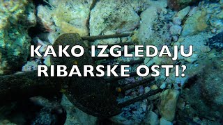 RIBARSKE OSTI osti za ribolov objašnjenje  4K UHD VIDEO [upl. by Ayerdna56]