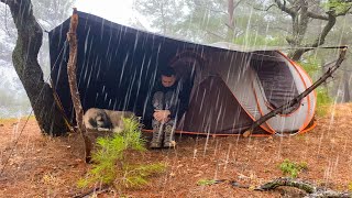 2 Days in the Forest in Heavy Rain • Rain Camping Rainstorm Flood Bad Weather [upl. by Eirlav318]