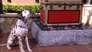 Songs Pongo Perdita 101 Dalmatiers [upl. by Euginimod21]