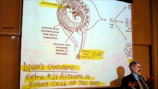 BIOLOGY CHROMOSOME ANOMALIES amp GENETIC DISEASES by Professor Finkwmv [upl. by Hughett]