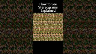 How to See Stereograms opticalillusions tips stereogram magiceye mushroom cute 3d [upl. by Peppy387]