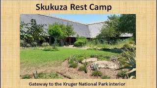 Skukuza Rest Camp Kruger National Park South Africa [upl. by Nolly77]