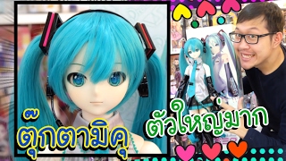 ตุ๊กตา มิคุ Dollfie Dream VOLK Hatsune MIKU  PONYTHSHOP LIVE EP 156 [upl. by Warner]