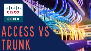 Cisco CCNA VLAN Access vs Trunk [upl. by Nork]