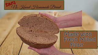 No Knead Overnight Bread from Fresh Milled FlourMy First Loaf [upl. by Rochester]