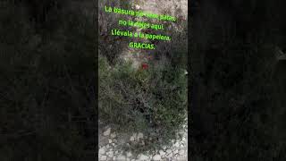 ♻️ Otra vez 🥤🚮 ¡Residuos tras el botellón en Serra Grossa 😕 [upl. by Range]