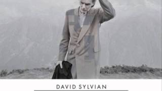 David Sylvian  Wheres Your Gravity [upl. by Wohlert]