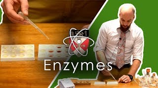 Enzymes  GCSE Science Required Practical [upl. by Adnuahsor789]